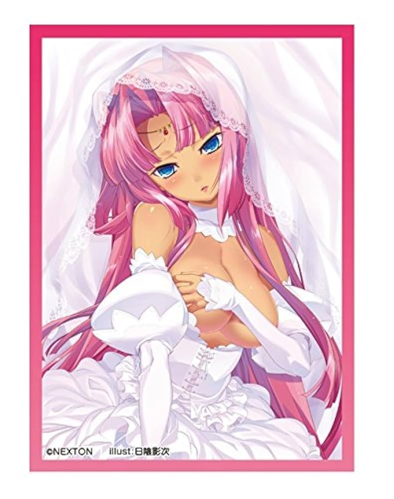 激レア　NEXTONガールズスリーブコレクション　60枚入り Amazon | NEXTONガールズスリーブコレクションVol.005 恋姫†夢想